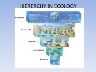HIERERCHY IN ECOLOGY
 