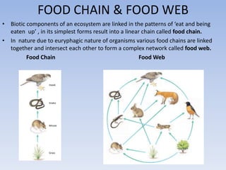 FOOD CHAIN & FOOD WEB
• Biotic components of an ecosystem are linked in the patterns of ‘eat and being
eaten up’ , in its simplest forms result into a linear chain called food chain.
• In nature due to euryphagic nature of organisms various food chains are linked
together and intersect each other to form a complex network called food web.
Food Chain Food Web
 