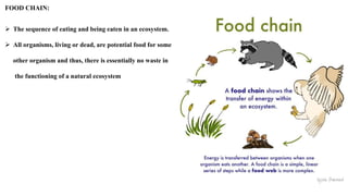 FOOD CHAIN:
 The sequence of eating and being eaten in an ecosystem.
 All organisms, living or dead, are potential food for some
other organism and thus, there is essentially no waste in
the functioning of a natural ecosystem
 