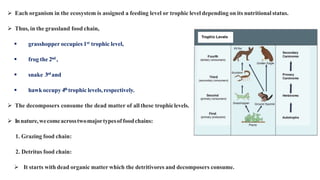  Each organism in the ecosystem is assigned a feeding level or trophic level depending on its nutritionalstatus.
 Thus, in the grassland food chain,
 grasshopper occupies 1st trophic level,
 frog the 2nd ,
 snake 3rd and
 hawkoccupy 4thtrophic levels,respectively.
 The decomposers consume the dead matter of all these trophiclevels.
 Innature,wecomeacrosstwomajortypesof foodchains:
1. Grazing food chain:
2. Detritus food chain:
 It starts with dead organic matter which the detritivores and decomposers consume.
 