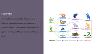 FOOD WEB:
Food web is a network of food chains where
different types of organisms are connected at
different trophic Levels, so that there are several
options of eating and being eaten at each trophic
level.
 