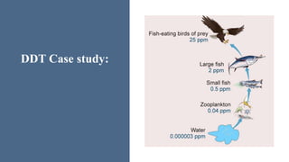 DDT Case study:
 