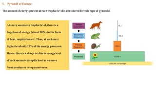 3. Pyramid of Energy:
Theamountof energypresentateachtrophic level is considered for this type of pyramid.
At every successive trophic level, there is a
huge loss of energy (about 90%) in the form
of heat, respiration etc. Thus, at each next
higher levelonly 10% of the energy passes on.
Hence,there is a sharp declineinenergylevel
of eachsuccessivetrophiclevelaswemove
from producerstotopcarnivores.
 