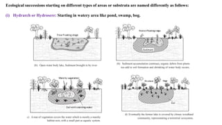 Ecological successions starting on different types of areas or substrata are named differently as follows:
(i) Hydrarch or Hydrosere: Starting in watery area like pond, swamp, bog.
d) Eventually the former lake is covered by climax woodland
community, representating a terrestrial ecosystem.c) A mat of vegetation covers the water which is mostly a marshy
habitat now, with a small part as aquatic system.
(b) Sediment accumulation continues, organic debris from plants
too add to soil formation and shrinking of water body occurs.
(b) Open water body lake, Sediment brought in by river
 