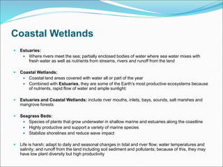 Coastal Wetlands
 Estuaries:
 Where rivers meet the sea; partially enclosed bodies of water where sea water mixes with
fresh water as well as nutrients from streams, rivers and runoff from the land
 Coastal Wetlands:
 Coastal land areas covered with water all or part of the year
 Combined with Estuaries, they are some of the Earth’s most productive ecosystems because
of nutrients, rapid flow of water and ample sunlight:
 Estuaries and Coastal Wetlands: include river mouths, inlets, bays, sounds, salt marshes and
mangrove forests
 Seagrass Beds:
 Species of plants that grow underwater in shallow marine and estuaries along the coastline
 Highly productive and support a variety of marine species
 Stabilize shorelines and reduce wave impact
 Life is harsh; adapt to daily and seasonal changes in tidal and river flow; water temperatures and
salinity; and runoff from the land including soil sediment and pollutants; because of this, they may
have low plant diversity but high productivity
 