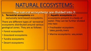 terrestrial ecosystem - definition, types, examples -... Ecosystem | PPTX