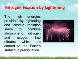 Nitrogen Fixation by Lightening
The high energies
provided by lightening
and cosmic radiation
serve to combine
atmospheric nitrogen
and oxygen into
nitrates, which are
carried to the Earth’s
surface in precipitation.
 