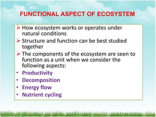 FUNCTIONAL ASPECT OF ECOSYSTEM
 How ecosystem works or operates under
natural conditions
 Structure and function can be best studied
together
 The components of the ecosystem are seen to
function as a unit when we consider the
following aspects:
• Productivity
• Decomposition
• Energy flow
• Nutrient cycling
 