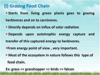 (i) Grazing Food Chain
 Starts from living green plants goes to grazing
herbivores and on to carnivores.
 Directly depends on influx of solar radiation
 Depends upon autotrophic energy capture and
transfer of this captured energy to herbivores.
From energy point of view , very important.
 Most of the ecosystem in nature follows this type of
food chain.
Ex: grass => grasshopper => birds => falcon
 