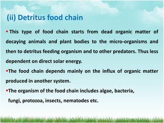 (ii) Detritus food chain
 This type of food chain starts from dead organic matter of
decaying animals and plant bodies to the micro-organisms and
then to detritus feeding organism and to other predators. Thus less
dependent on direct solar energy.
The food chain depends mainly on the influx of organic matter
produced in another system.
The organism of the food chain includes algae, bacteria,
fungi, protozoa, insects, nematodes etc.
 