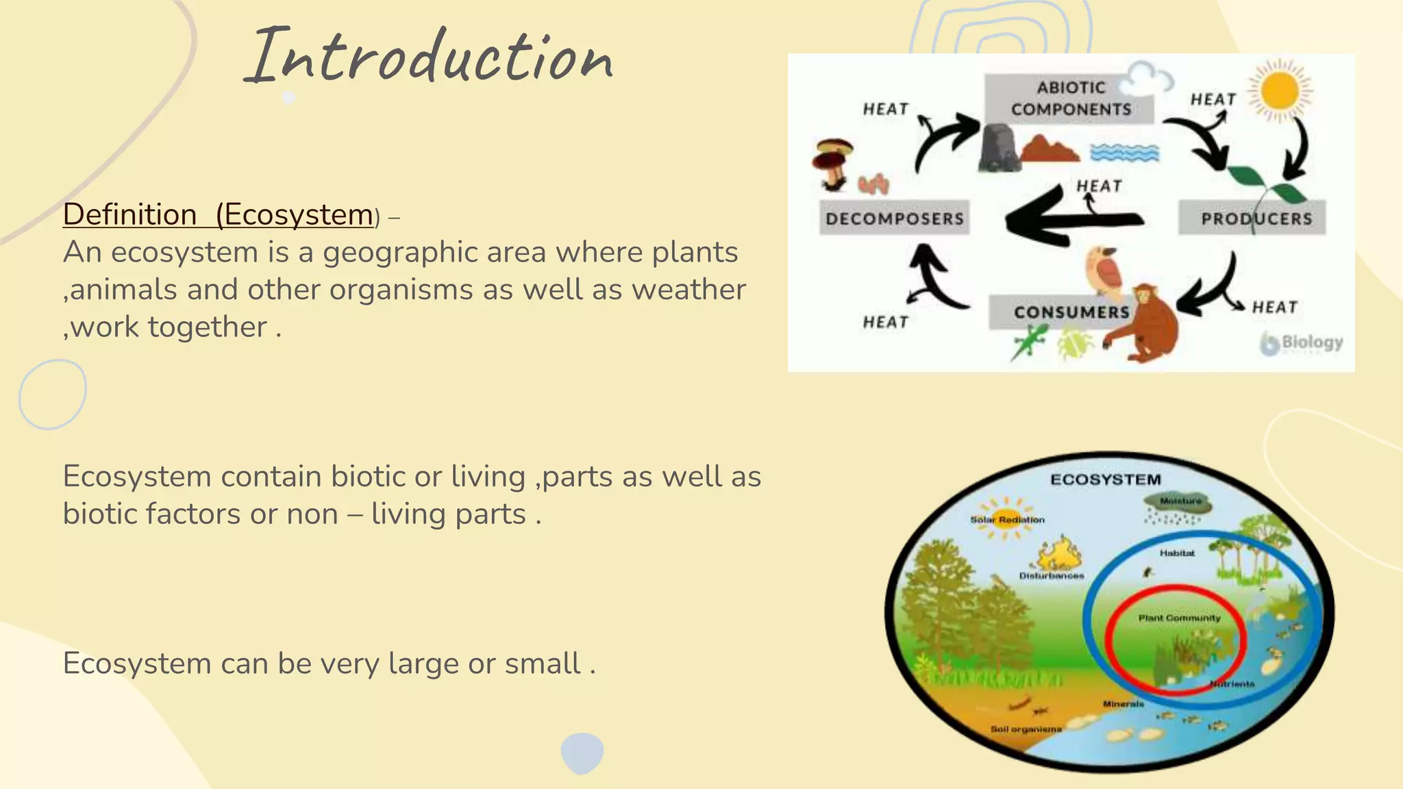 Ecosystem – Biomass, Succession | PPTX