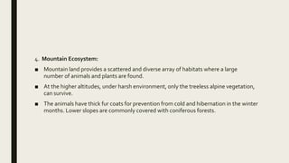 4. Mountain Ecosystem:
■ Mountain land provides a scattered and diverse array of habitats where a large
number of animals and plants are found.
■ At the higher altitudes, under harsh environment, only the treeless alpine vegetation,
can survive.
■ The animals have thick fur coats for prevention from cold and hibernation in the winter
months. Lower slopes are commonly covered with coniferous forests.
 