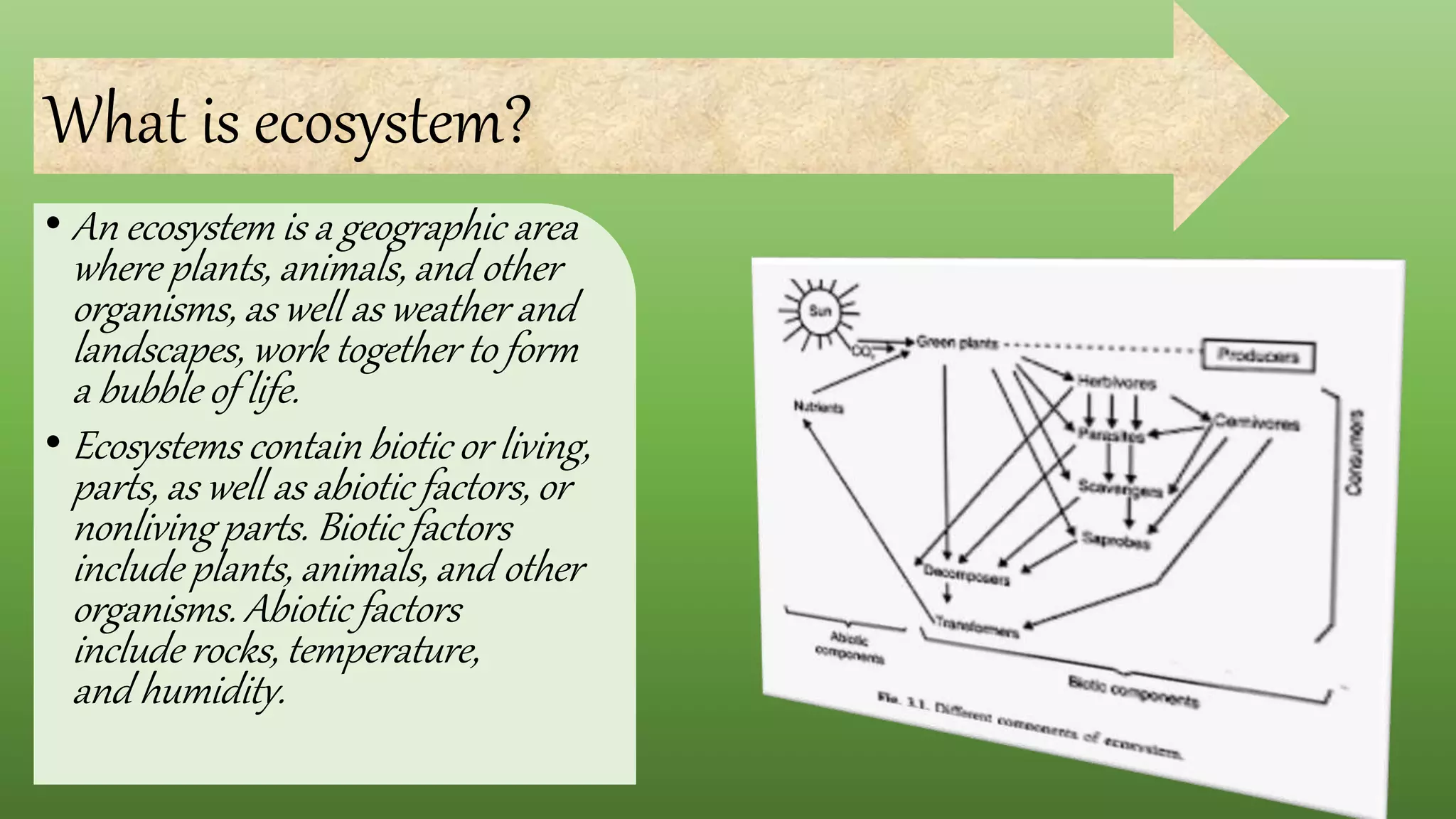 ECOSYSTEM.pptx