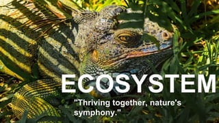 ECOSYSTEM
"Thriving together, nature's
symphony."
 