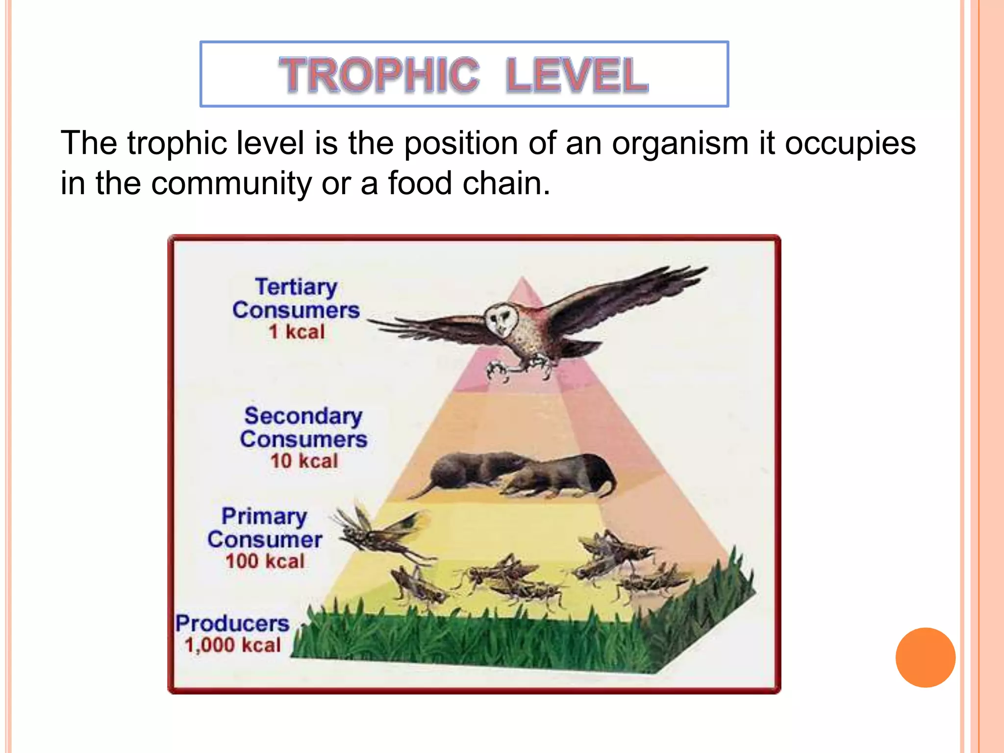 The trophic level is the position of an organism it occupies
in the community or a food chain.
 