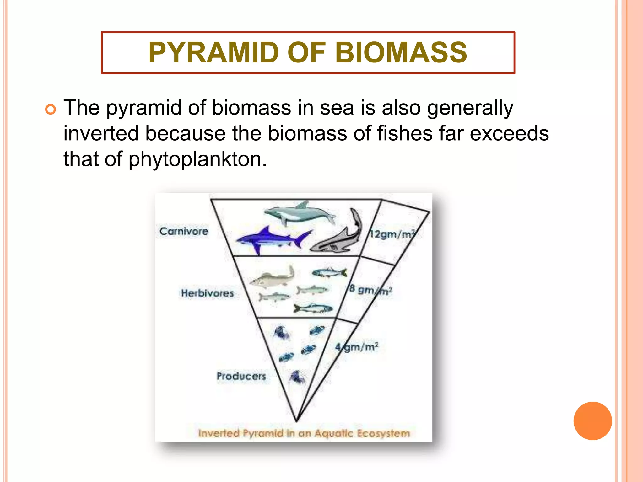  The pyramid of biomass in sea is also generally
inverted because the biomass of fishes far exceeds
that of phytoplankton.
PYRAMID OF BIOMASS
 