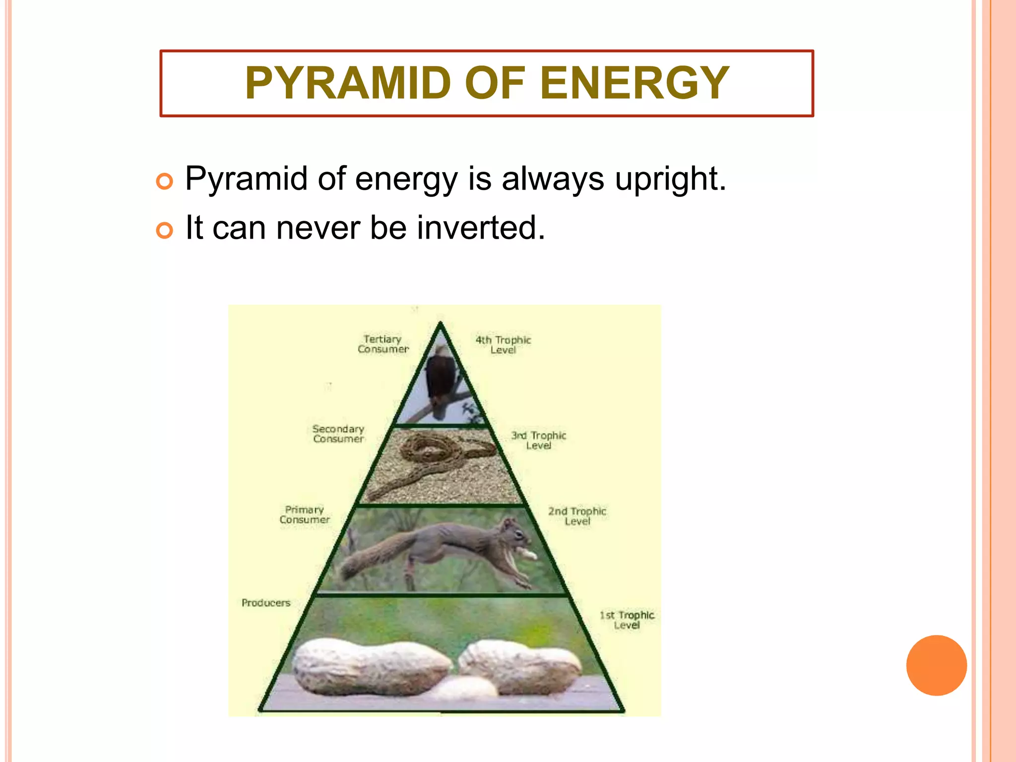  Pyramid of energy is always upright.
 It can never be inverted.
PYRAMID OF ENERGY
 