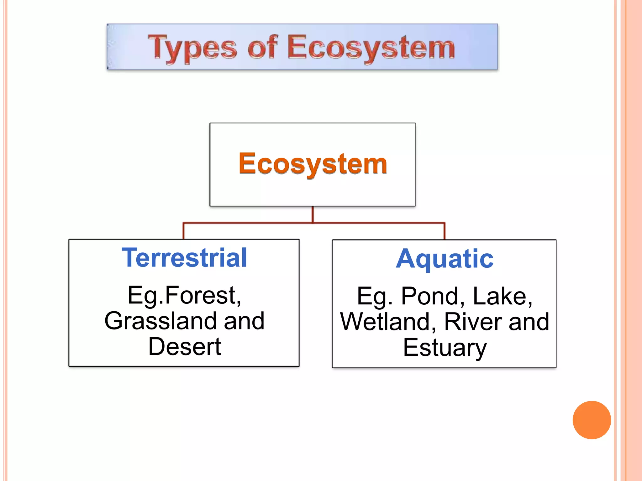 Ecosystem
Terrestrial
Eg.Forest,
Grassland and
Desert
Aquatic
Eg. Pond, Lake,
Wetland, River and
Estuary
 