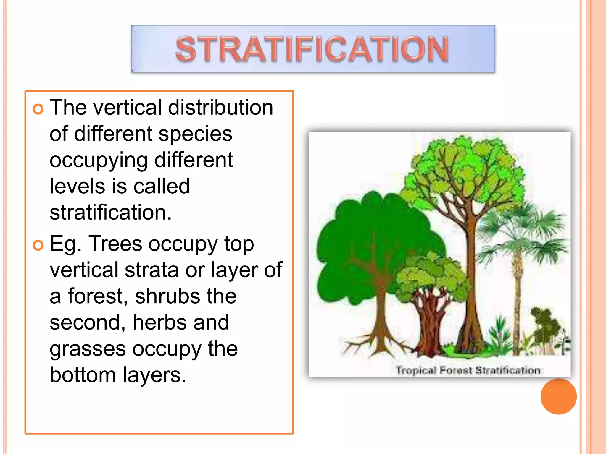  The vertical distribution
of different species
occupying different
levels is called
stratification.
 Eg. Trees occupy top
vertical strata or layer of
a forest, shrubs the
second, herbs and
grasses occupy the
bottom layers.
 