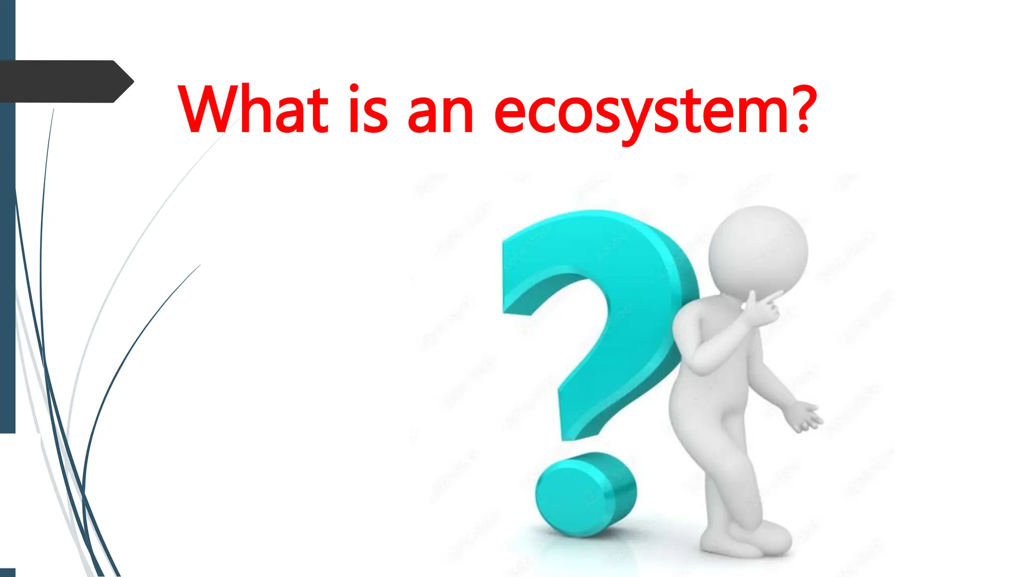 What is an ecosystem?
 
