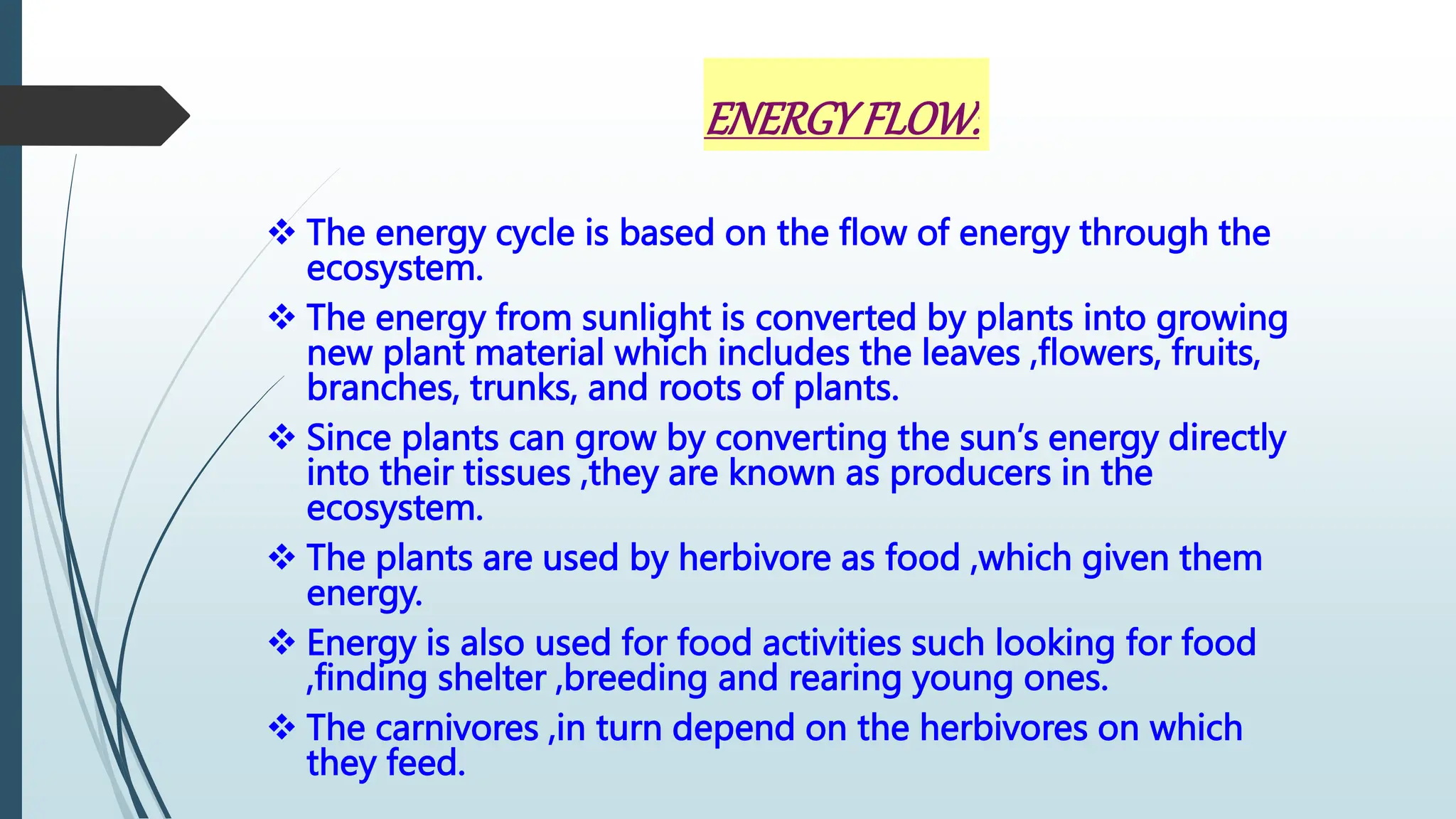 ENERGYFLOW:
 The energy cycle is based on the flow of energy through the
ecosystem.
 The energy from sunlight is converted by plants into growing
new plant material which includes the leaves ,flowers, fruits,
branches, trunks, and roots of plants.
 Since plants can grow by converting the sun’s energy directly
into their tissues ,they are known as producers in the
ecosystem.
 The plants are used by herbivore as food ,which given them
energy.
 Energy is also used for food activities such looking for food
,finding shelter ,breeding and rearing young ones.
 The carnivores ,in turn depend on the herbivores on which
they feed.
 
