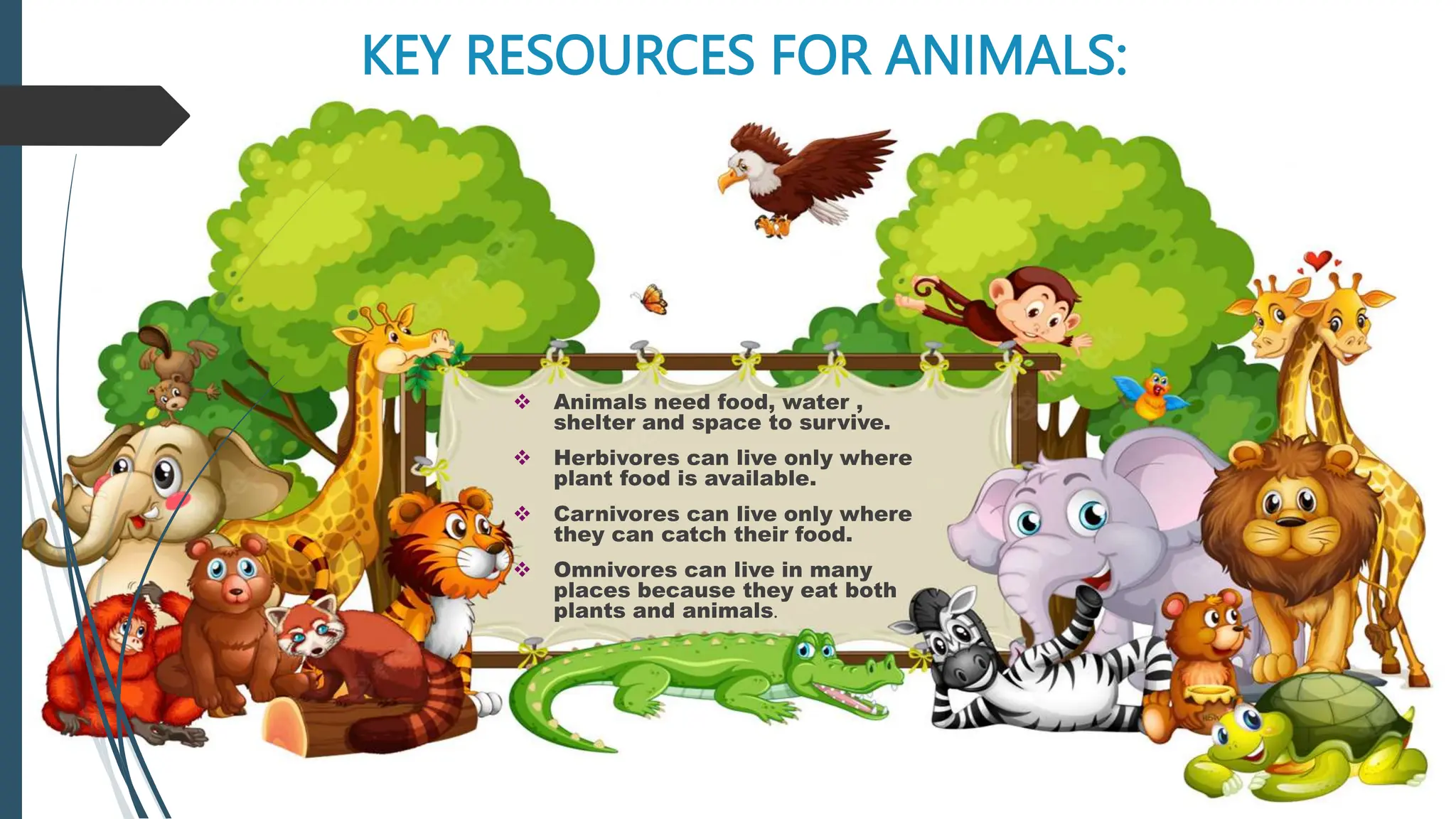 KEY RESOURCES FOR ANIMALS:
 Animals need food, water ,
shelter and space to survive.
 Herbivores can live only where
plant food is available.
 Carnivores can live only where
they can catch their food.
 Omnivores can live in many
places because they eat both
plants and animals.
 
