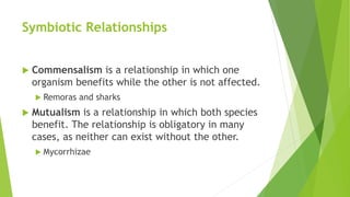 Symbiotic Relationships
 Commensalism is a relationship in which one
organism benefits while the other is not affected.
 Remoras and sharks
 Mutualism is a relationship in which both species
benefit. The relationship is obligatory in many
cases, as neither can exist without the other.
 Mycorrhizae
 
