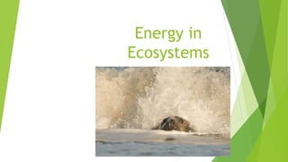 Energy in
Ecosystems
 