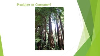 Producer or Consumer?
 