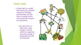 food webs
 A food web is a model
that shows the complex
network of feeding
relationships and the
flow of energy within
and sometimes beyond
an ecosystems.
At each link in a
food web, some
energy is stored
within an organism,
and some energy is
dissipated into the
environment.
 
