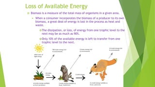 Loss of Available Energy
 Biomass is a measure of the total mass of organisms in a given area.
 When a consumer incorporates the biomass of a producer to its own
biomass, a great deal of energy is lost in the process as heat and
waste.
The dissipation, or loss, of energy from one trophic level to the
next may be as much as 90%.
Only 10% of the available energy is left to transfer from one
trophic level to the next.
 