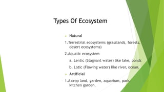 Types Of Ecosystem
 Natural
1.Terrestrial ecosystems (grasslands, forests,
desert ecosystems)
2.Aquatic ecosystem
a. Lentic (Stagnant water) like lake, ponds
b. Lotic (Flowing water) like river, ocean.
 Artificial
1.A crop land, garden, aquarium, park,
kitchen garden.
 