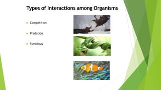  Competition
 Predation
 Symbiosis
 