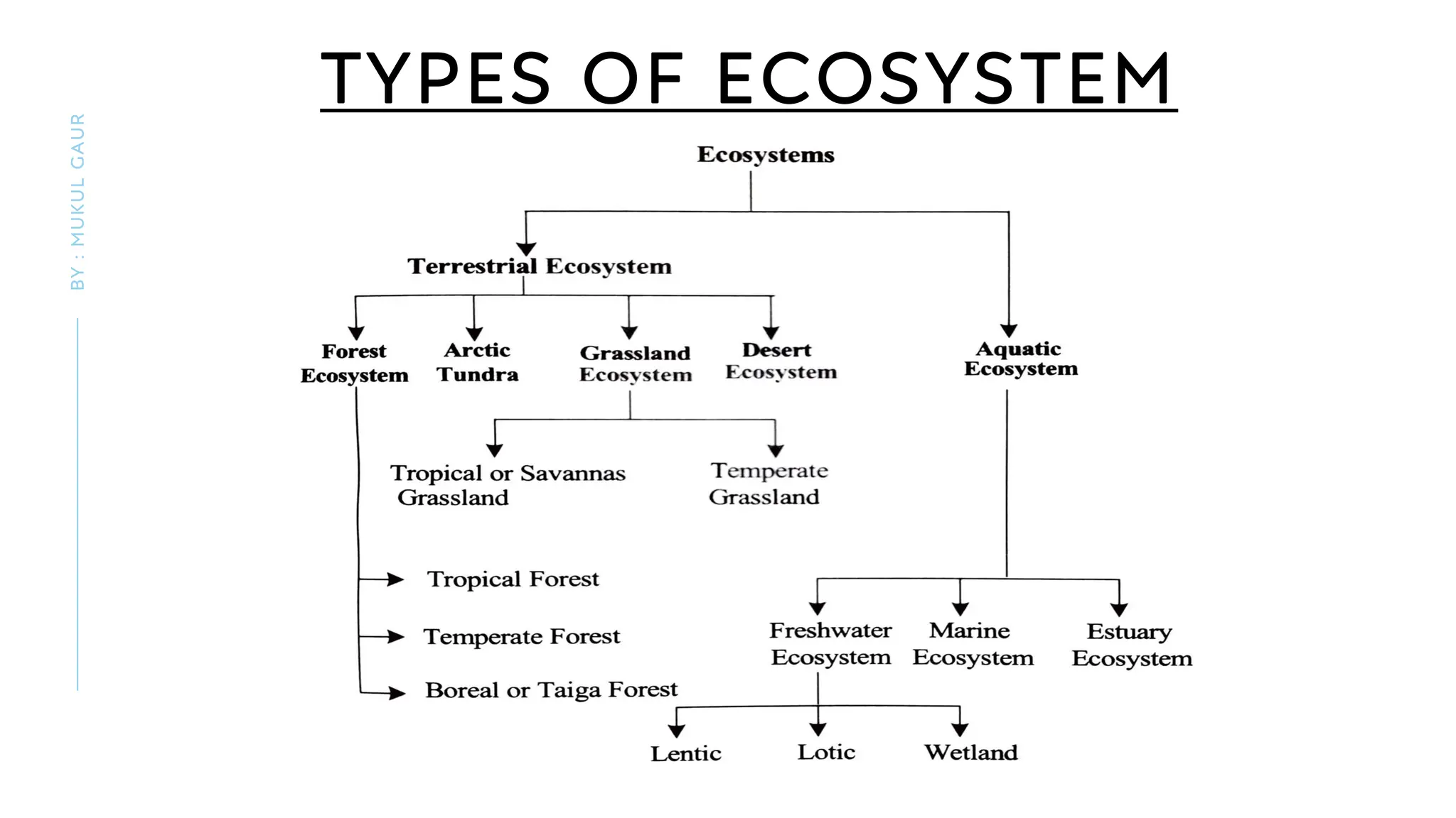 TYPES OF ECOSYSTEM
BY
:
MUKUL
GAUR
 