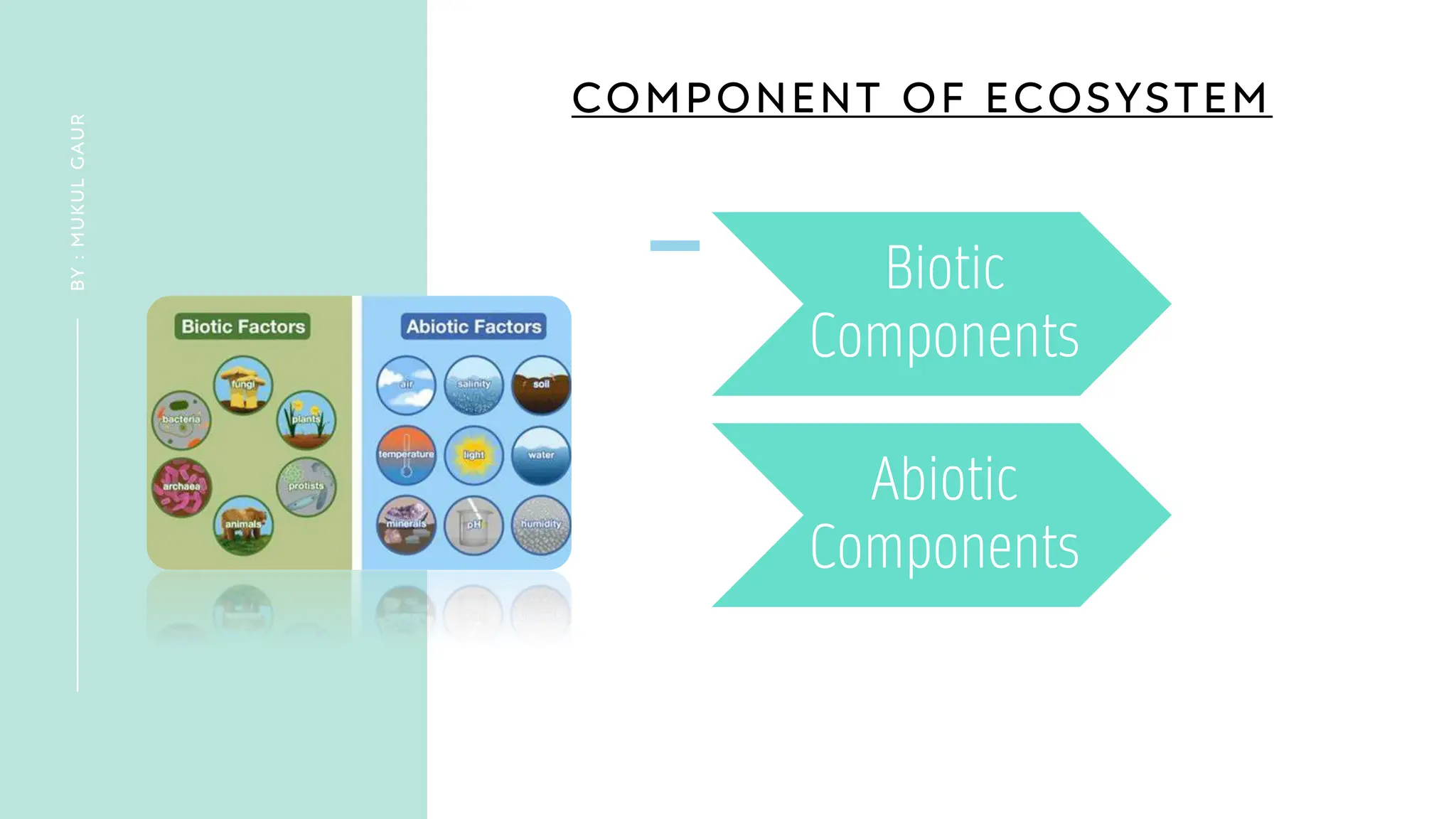 COMPONENT OF ECOSYSTEM
Biotic
Components
Abiotic
Components
BY
:
MUKUL
GAUR
 