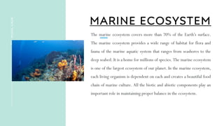 MARINE ECOSYSTEM
The marine ecosystem covers more than 70% of the Earth’s surface.
The marine ecosystem provides a wide range of habitat for flora and
fauna of the marine aquatic system that ranges from seashores to the
deep seabed. It is a home for millions of species. The marine ecosystem
is one of the largest ecosystem of our planet. In the marine ecosystem,
each living organism is dependent on each and creates a beautiful food
chain of marine culture. All the biotic and abiotic components play an
important role in maintaining proper balance in the ecosystem.
BY
:
MUKUL
GAUR
 