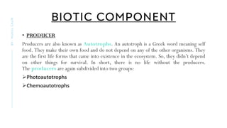 BIOTIC COMPONENT
• PRODUCER
Producers are also known as Autotrophs. An autotroph is a Greek word meaning self
food. They make their own food and do not depend on any of the other organisms. They
are the first life forms that came into existence in the ecosystem. So, they didn’t depend
on other things for survival. In short, there is no life without the producers.
The producers are again subdivided into two groups:
➢Photoautotrophs
➢Chemoautotrophs
BY
:
MUKUL
GAUR
 