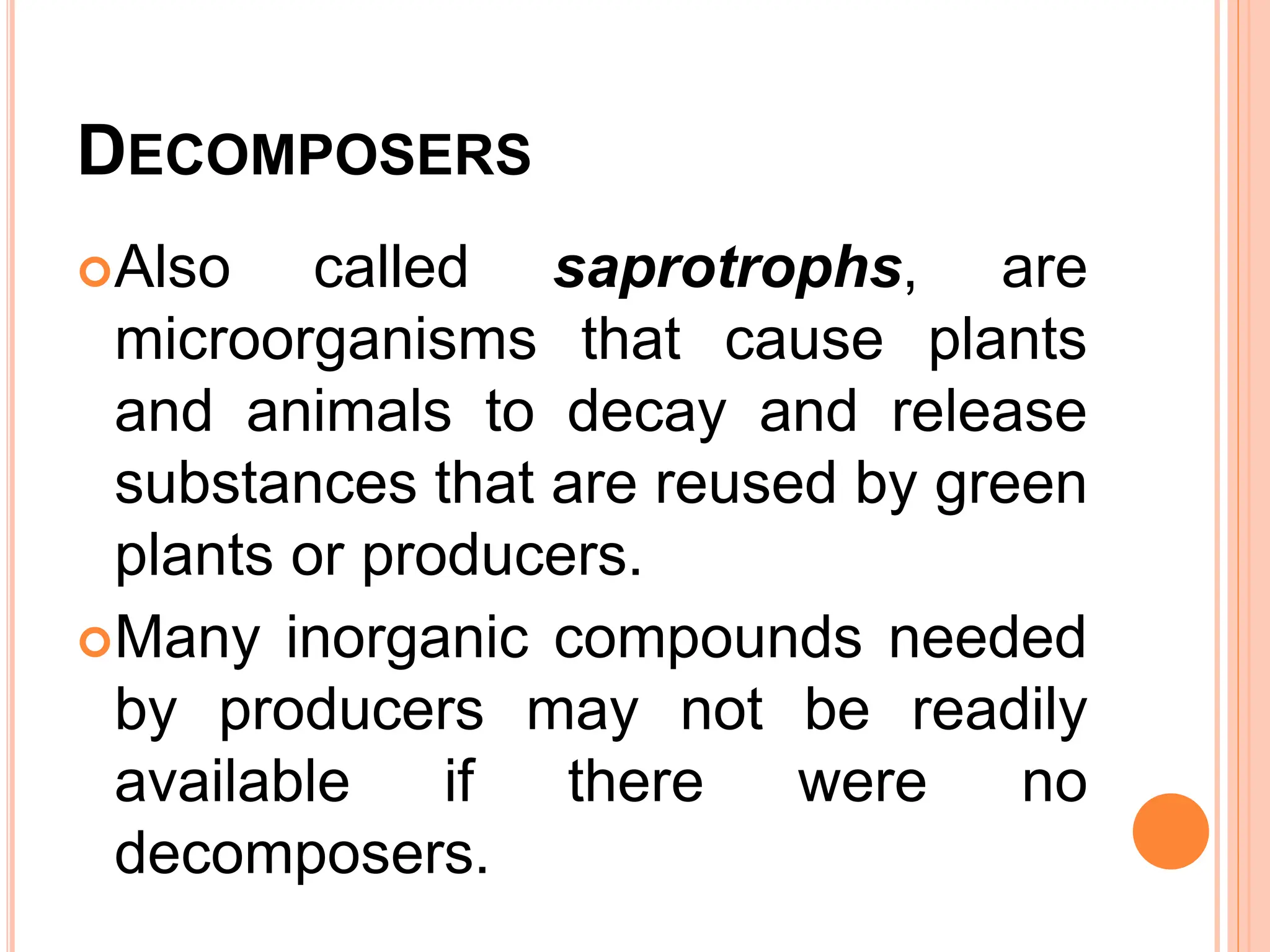 DECOMPOSERS
Also called saprotrophs, are
microorganisms that cause plants
and animals to decay and release
substances that are reused by green
plants or producers.
Many inorganic compounds needed
by producers may not be readily
available if there were no
decomposers.
 