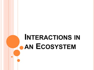 INTERACTIONS IN
AN ECOSYSTEM
 