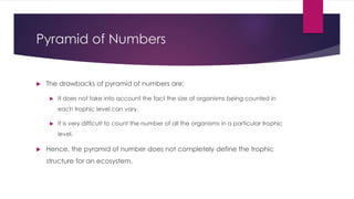 A slideshow on the meaning, types and components of an Ecosystem. | PDF