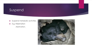 A slideshow on the meaning, types and components of an Ecosystem. | PDF