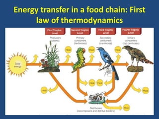 Ecosystem Ecosystem Ecosystem 1Ecosystem | PPT