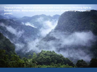Stratification Bio Ecosystem Ecosystem Ecosystem 1Ecosystem | PDF