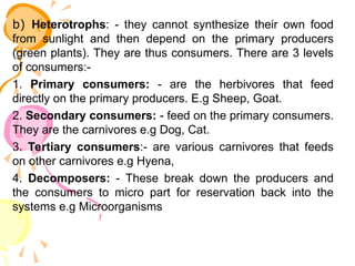 b) Heterotrophs: - they cannot synthesize their own food
from sunlight and then depend on the primary producers
(green plants). They are thus consumers. There are 3 levels
of consumers:-
1. Primary consumers: - are the herbivores that feed
directly on the primary producers. E.g Sheep, Goat.
2. Secondary consumers: - feed on the primary consumers.
They are the carnivores e.g Dog, Cat.
3. Tertiary consumers:- are various carnivores that feeds
on other carnivores e.g Hyena,
4. Decomposers: - These break down the producers and
the consumers to micro part for reservation back into the
systems e.g Microorganisms
 