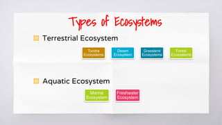 11
Types of Ecosystems
▧ Terrestrial Ecosystem
▧ Aquatic Ecosystem
Tundra
Ecosystems
Desert
Ecosystem
Grassland
Ecosystems
Forest
Ecosystems
Marine
Ecosystem
Freshwater
Ecosystem
 