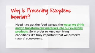 21
Need it to get the food we eat, the water we drink
and to transform raw materials into our everyday
products. So in order to keep our living
conditions, it’s truly important that we preserve
natural ecosystems.
Why Is Preserving Ecosystems
Important?
 