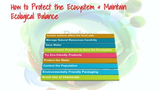 23
How to Protect the Ecosystem & Maintain
Ecological Balance
 