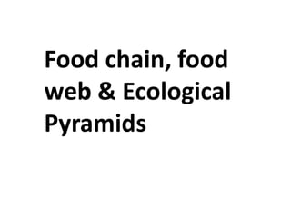 Food Chain Ranks Ecosystem introduction, trophic levels can be represented by numbers | PDF