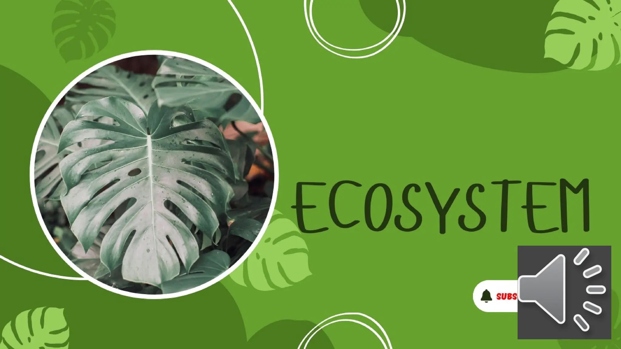 Ecosystem. its structure and functions.. | PPT