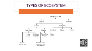 Ecosystem. its structure and functions.. | PPTX